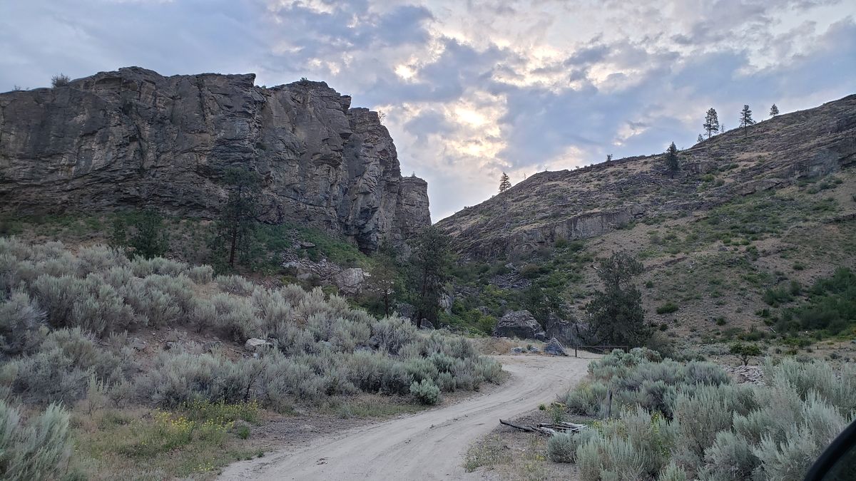 Sunlit gneiss cliff face in McLaughlin Canyon showing alternating light and dark metamorphic bands