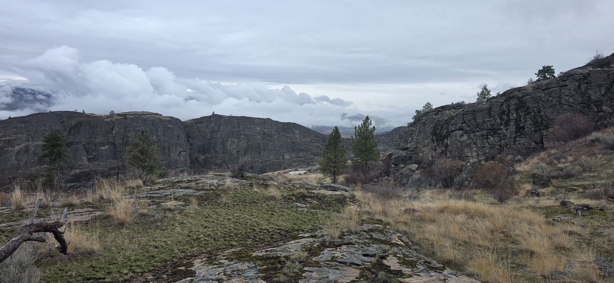 High-desert terrain near McLaughlin Canyon in November showing dry grassland and sage