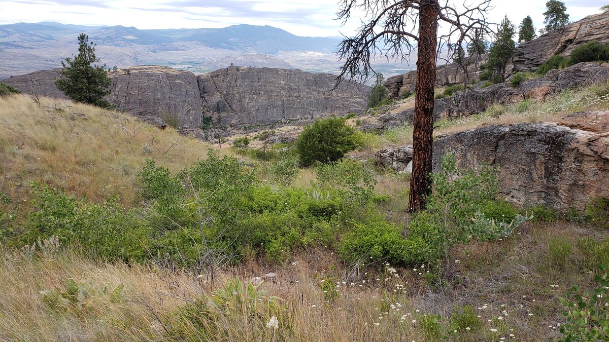 BLM trailhead information sign at McLaughlin Canyon parking area